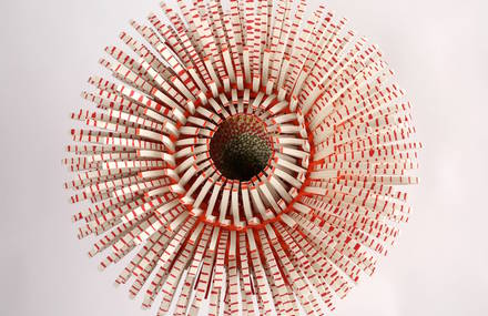 Textured Sculptures Made from Thousands Porcelain Spines