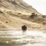 Breathtaking Travel Photography in Iceland by Max Muench-8