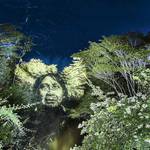 Stunning Video Projections of Indians in the Amazonian Forest-4