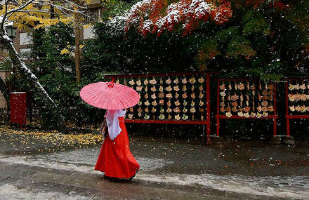 Enchanting Photographs of Snow in Tokyo
