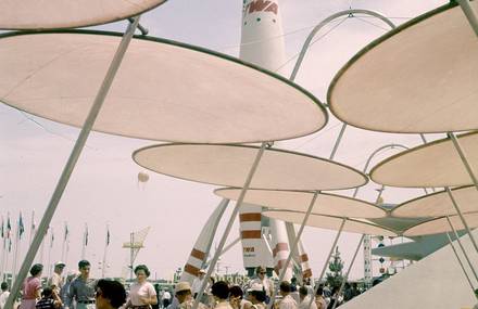 Vintage Pictures of Disneyland’s Opening in 1955
