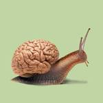 Comical Creations with Mixed Objects-0