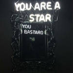 Inventive Mirror Reflections with Double Meanings-3