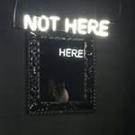 Inventive Mirror Reflections with Double Meanings-5