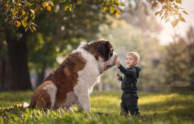 Adorable Pictures of Kids with Big Dogs