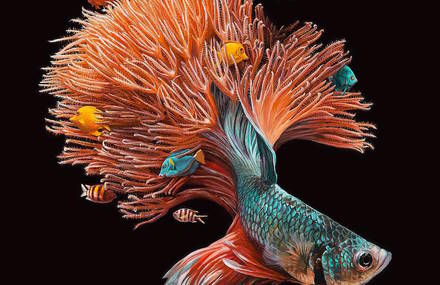 Hyperrealistic Paintings of Fishes and their Environment
