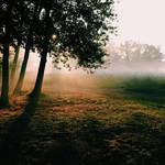 francetourwalk3