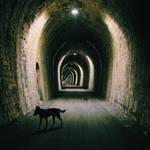 francetourwalk9