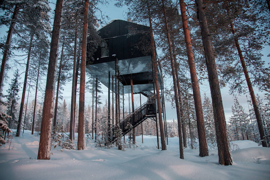 New Treehotel 7th Room by Snøhetta in Sweden