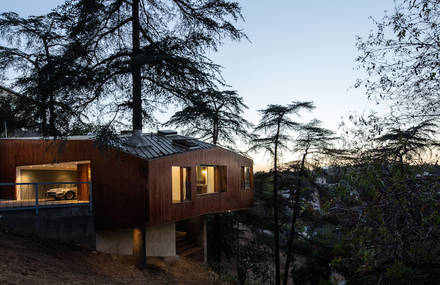 Superb Wooden House Built Around a Cypress Tree in LA