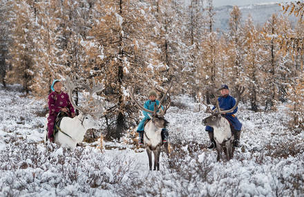Discovering the Culture of Nomads of Mongolia in Winter