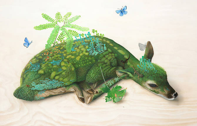 Fauna and Flora in Tiffany Bozic Delicate Illustrations