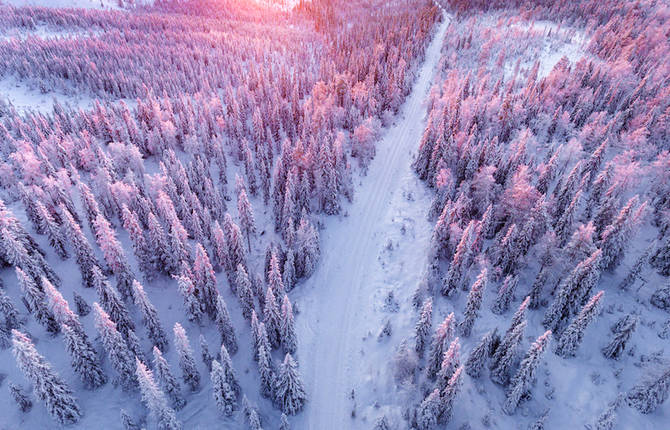 Gorgeous Aerial Pictures of a Snowy Forest in Finland