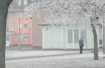 Poetic Pictures of a Winter in Siófok