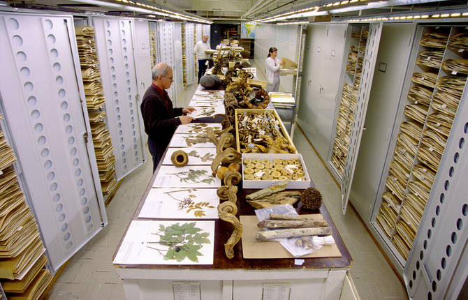 Incredible US Museum of Natural History Secret Collections Backstage