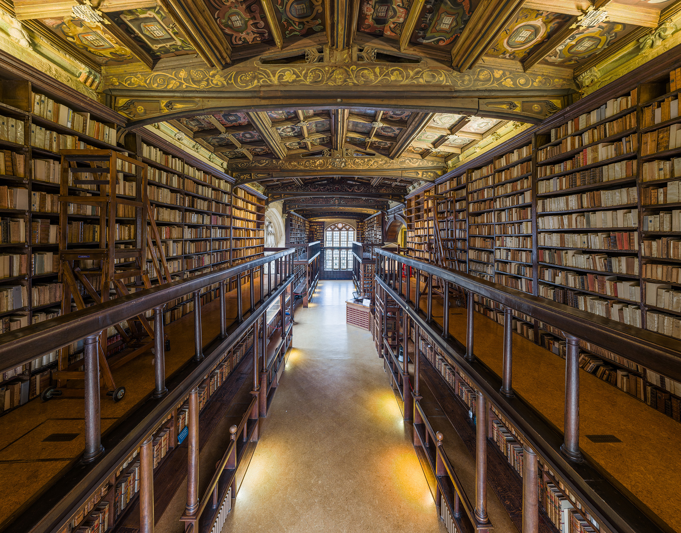 Stunning Pictures of the Oxford Library