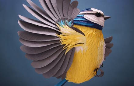 Sumptuous Colored Illustrations with Paper Cutouts