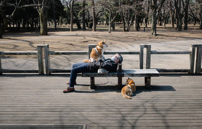 Delicate Photographs of Loneliness in Tokyo
