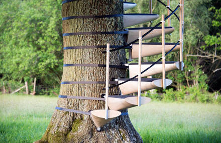 Original Spiral Staircase Wraps Trees