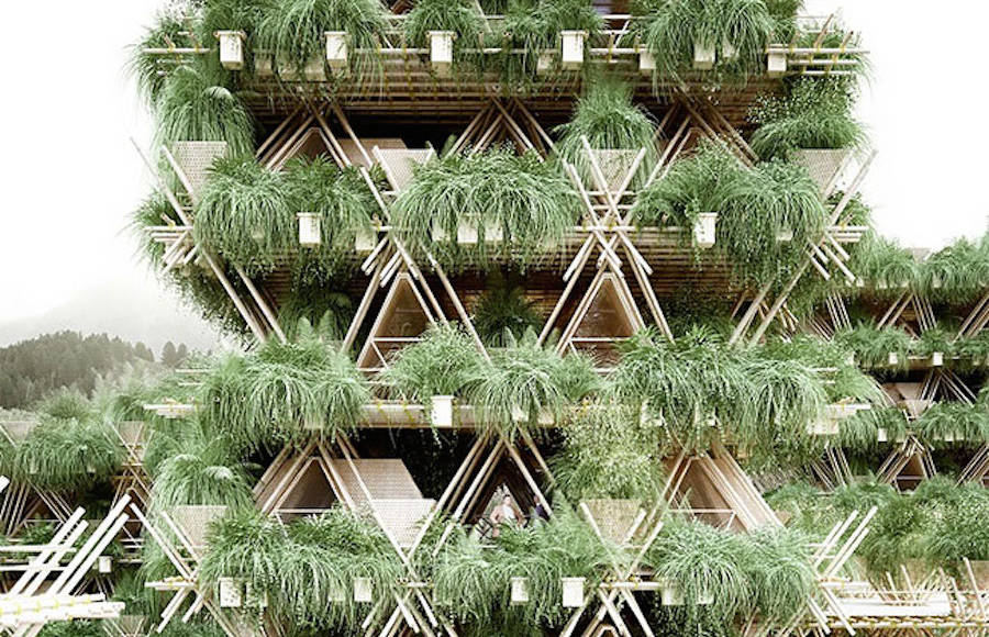 Splendid Bamboo Treehouse in Beijing