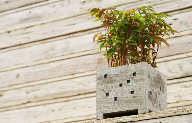 Adorable Mini Houses to Grow your Plants