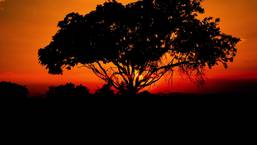 South Africa – A Mavic Tale
