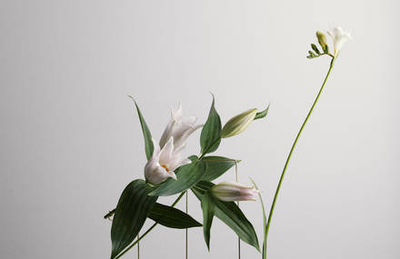 Magnificent Flower Vases by Bloc Studios x Carl Kleiner