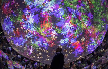 Mesmerizing Vegetal Mapping under a Dome by Miguel Chevalier