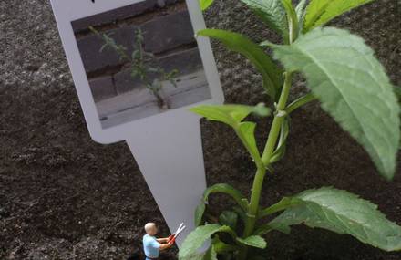 Adorable Miniature Figurines by Slinkachu