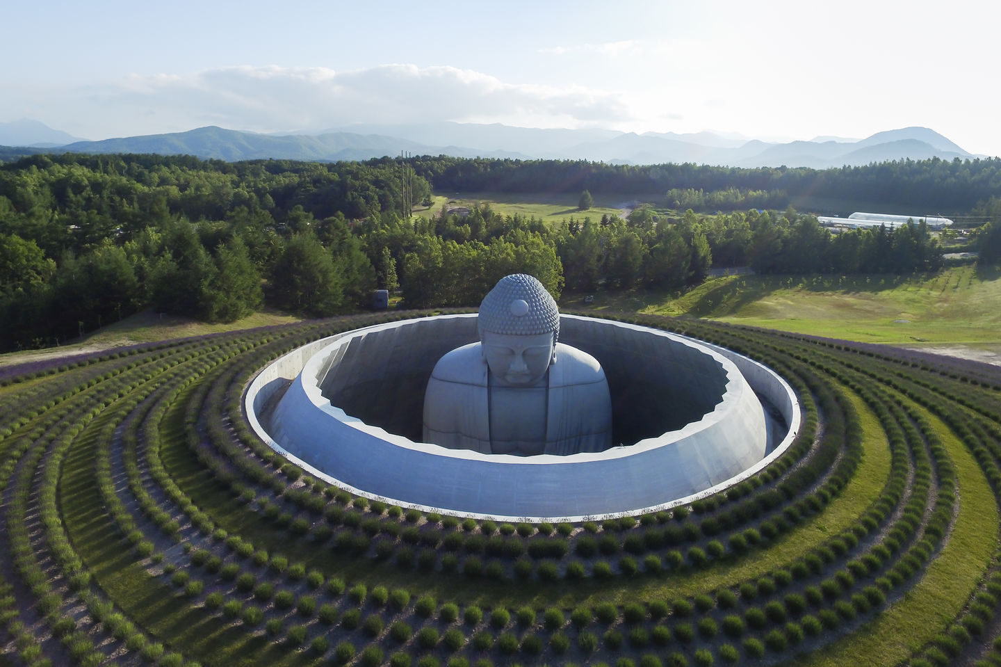 Hill of Buddha by Tadao Ando