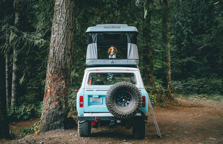 Dylan Furst Takes You on a Wild Adventure
