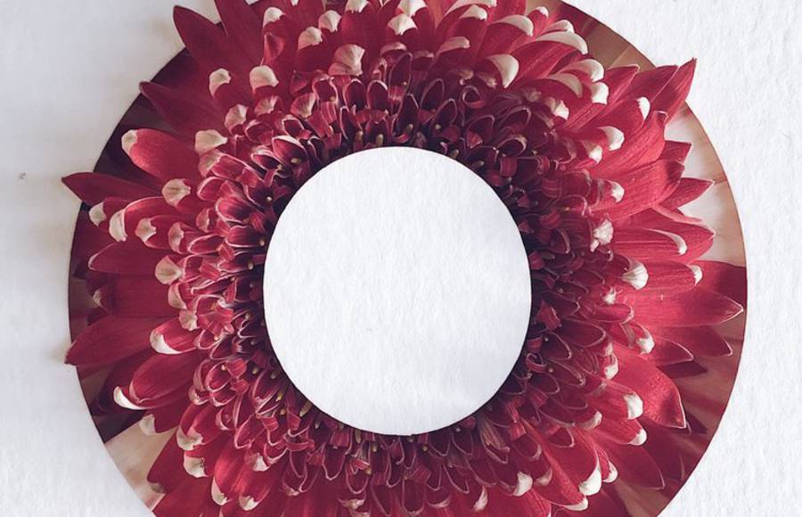 Stunning Flower Typography Project by Julia Losfelt