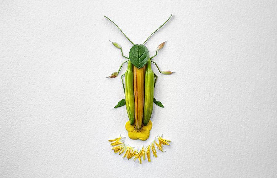 Fascinating Insects Flower Sculptures by Raku Inoue