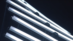 Prequell – Part XIV ft. Rae Morris