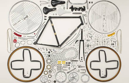 Things Come Apart by Todd McLellan