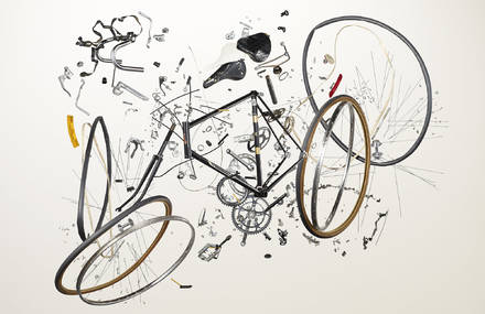 Things Come Apart by Todd McLellan