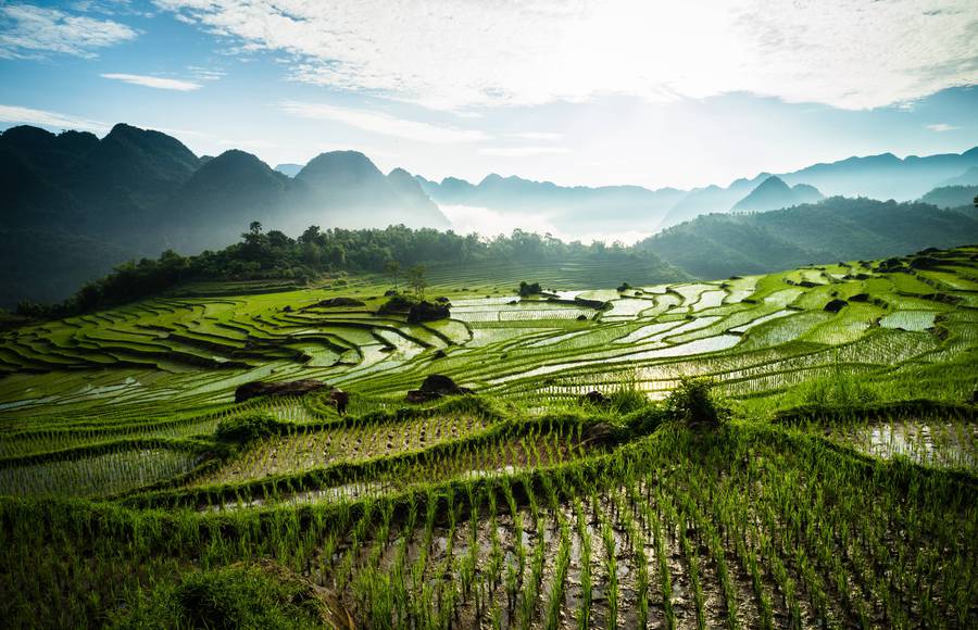 Cinematic Landscapes in Vietnam by Deniz Vural