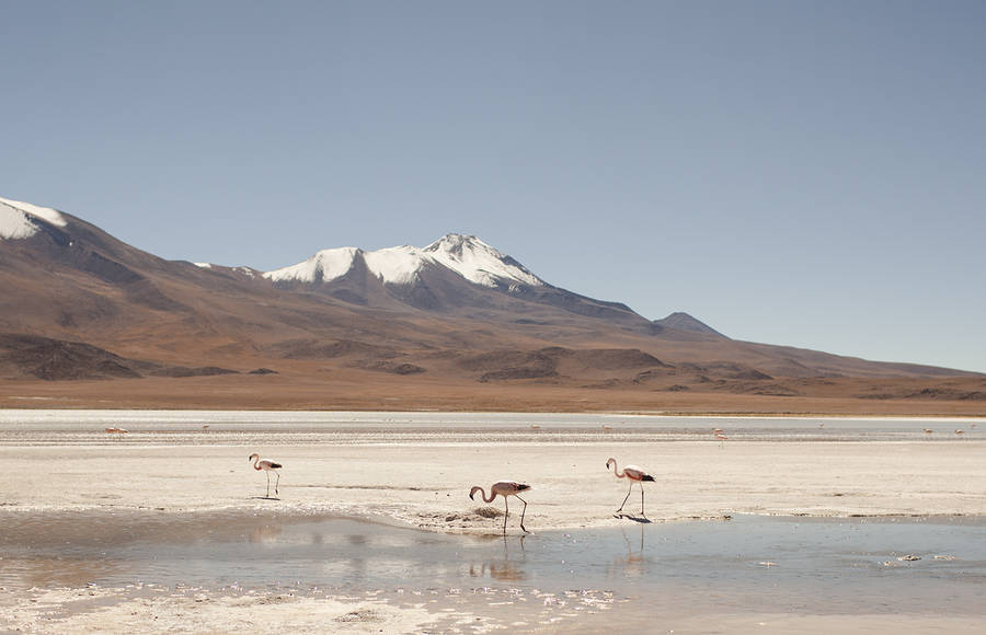 Stunning Trip Photos of Bolivia and Peru by Sonia Szostak