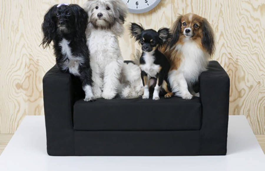IKEA New Collection for Pets