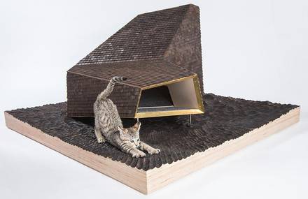 Elegant and Modern Shelters Designed to Help Homeless Cats