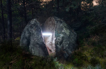 Nocturnal Illuminations in the Fontainebleau Forest
