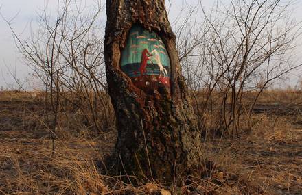 Beautiful and Poetic Drawings on Trees