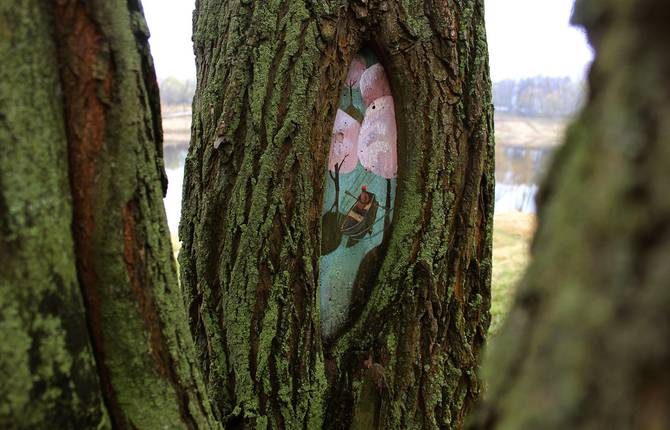 Beautiful and Poetic Drawings on Trees