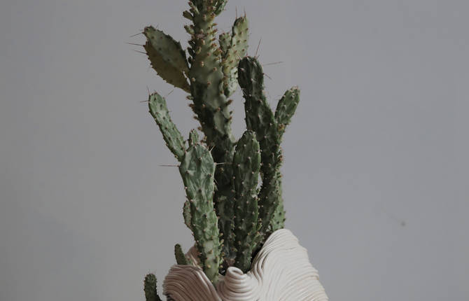 Beautifully Imperfect Ceramic Plant Vessels