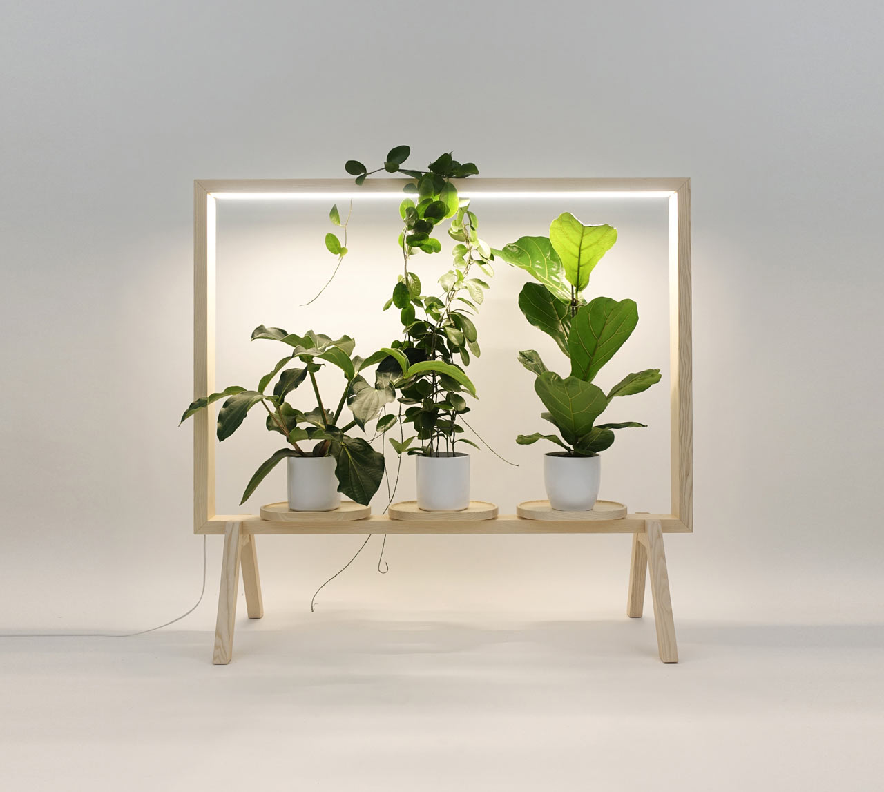 fubiz-greenframe-design-01.jpg