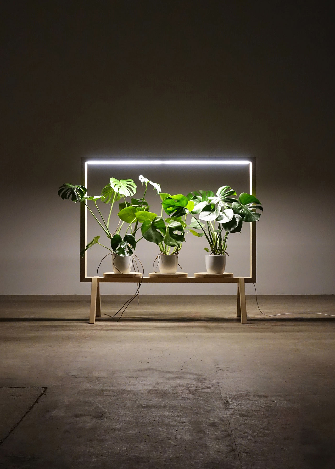 fubiz-greenframe-design-07.jpg