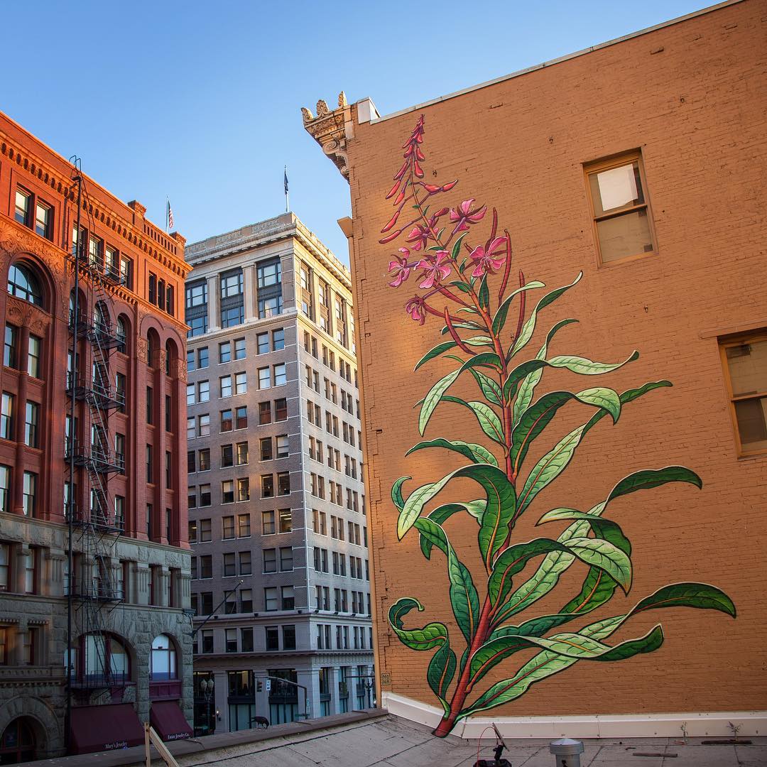 fubiz-mona-caron-flowers-mural-04.jpg