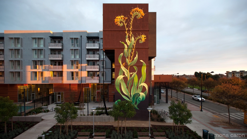 fubiz-mona-caron-flowers-mural-06.jpg