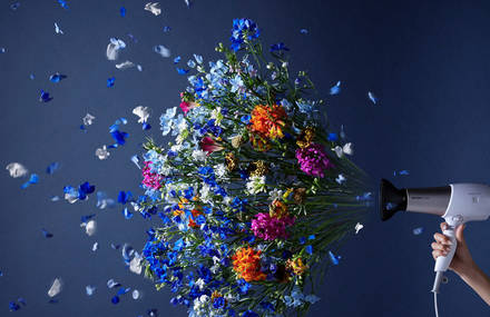 Spring-Inspired Campaign of Appliances and Flowers