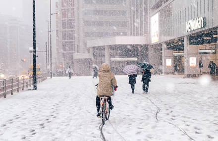 Magical Images of Tokyo Under the Snow
